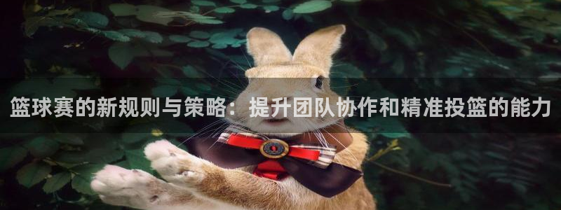 球王会体育平台入口